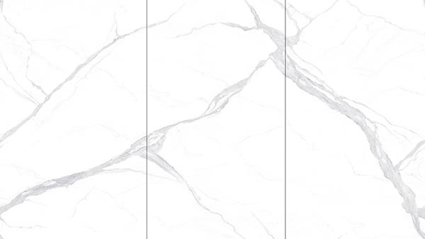 SY918916